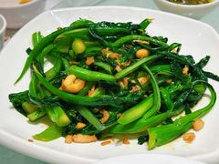 -新蜀会四川豆花(五羊店)