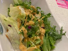 蔬菜色拉-韩时烤肉(枫蓝店)