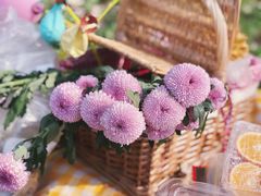 -长白岛森林公园