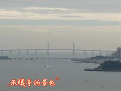 -野狸岛