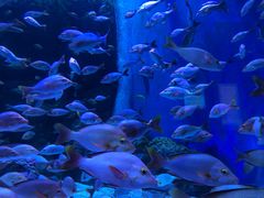 -成都浩海立方海洋公园