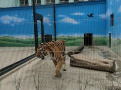 -保定市动物园