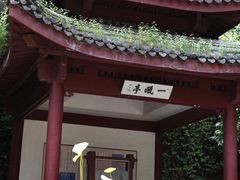 -韬光茶庵