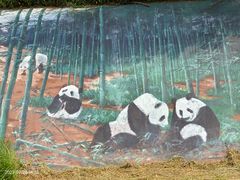 -沈阳森林动物园