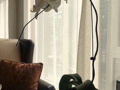 -子霖南山鲜虾面(南山总店)