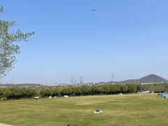 -羊山湖公园