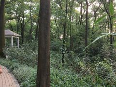 -云溪植物园