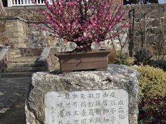 -无锡梅园公园