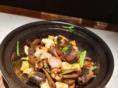 -大榕树下顺德菜(融创茂店)