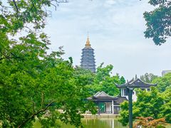 -红梅公园