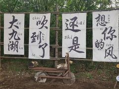 -大九湖