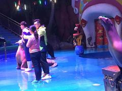 -烟台海昌鲸鲨海洋公园