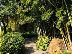 -晓港公园