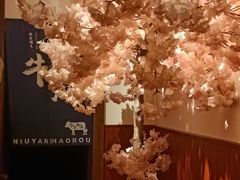 -牛焱·烧肉酒肆(五大道店)