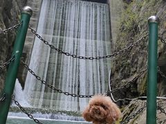 -山西通天峡景区