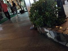 -金河半岛园林酒家(金融城店)