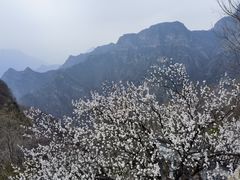 -圣莲山风景区