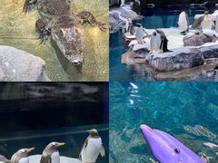 -郑州海洋馆