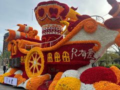 -荷兰花海