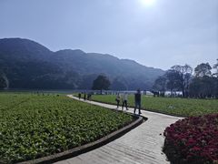 -广州市石门国家森林公园