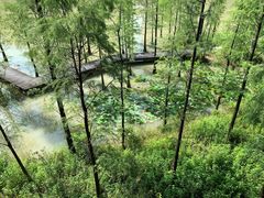 -星巴克(深圳北站B5检票口)