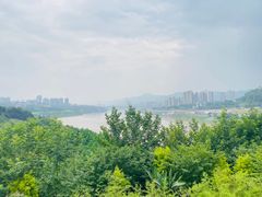 -金海湾滨江公园