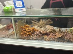 -辽B·小串(总店)