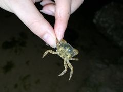 -青岛金沙滩