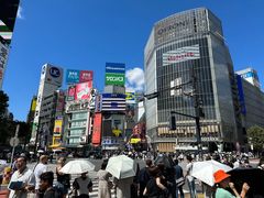 -涩谷区