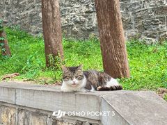 -四门塔风景区