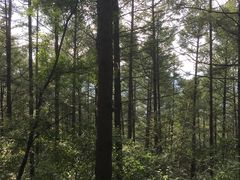 -白草畔自然风景区