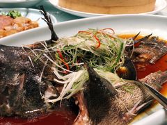 清蒸石斑鱼-新海渔港·胶东海鲜家常菜·家宴(奥体中心店)
