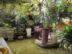 -海韵人家.海景花园经典云南菜(双廊店)
