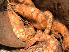 -大牛湾·眷村牛肉面(蠡溪店)