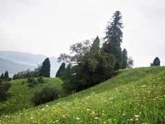 -新疆那拉提国家旅游度假区