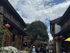 -民食香·腊排骨野生菌美食(木府店)
