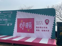 -荷兰花海
