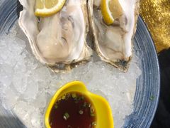 -黑松白鹿(崇文门新活馆店)