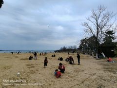 -瑶湖郊野森林公园