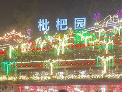 -枇杷园食为鲜火锅(南山店)