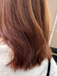 -MODEL SAGA名媛世家