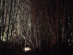 -绿茶餐厅(成都太古里店)