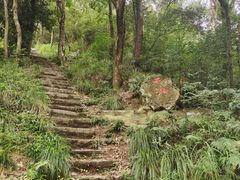 -青龙山国家森林公园