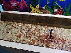 -常州海昌海洋探索馆