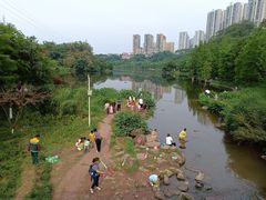 -重庆彩云湖湿地公园