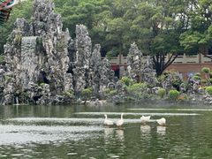 -广东圆玄道观