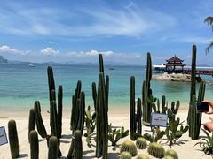 -后海村