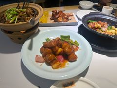-鸽小宝(深圳首店)