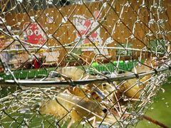 -光头佬室内钓虾场·烧烤·团建·亲子(中山八路店)