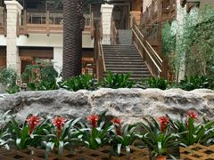 -太湖饭店玉兰厅(自助餐厅)